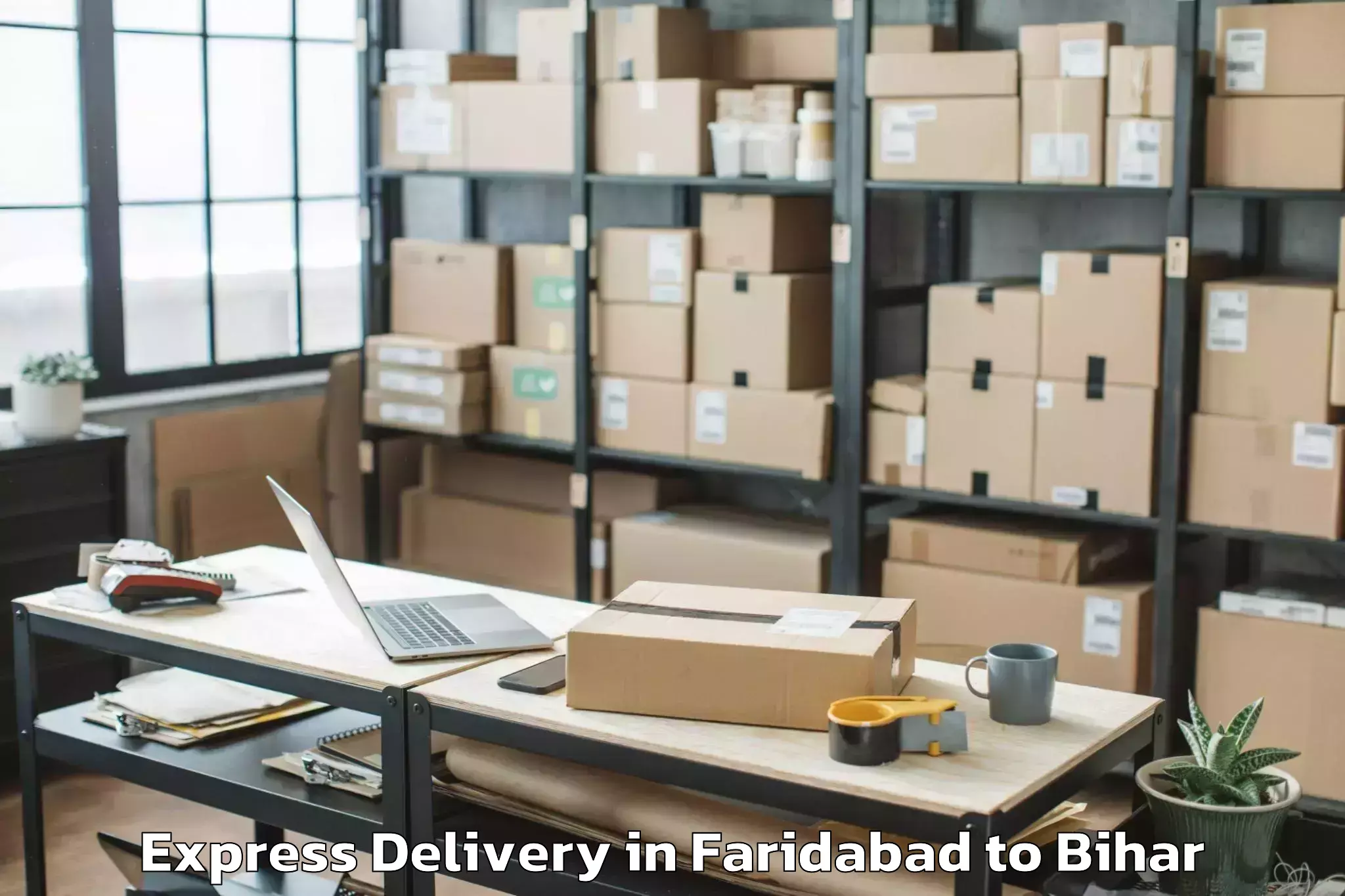 Professional Faridabad to Muzaffarpur Airport Mzu Express Delivery